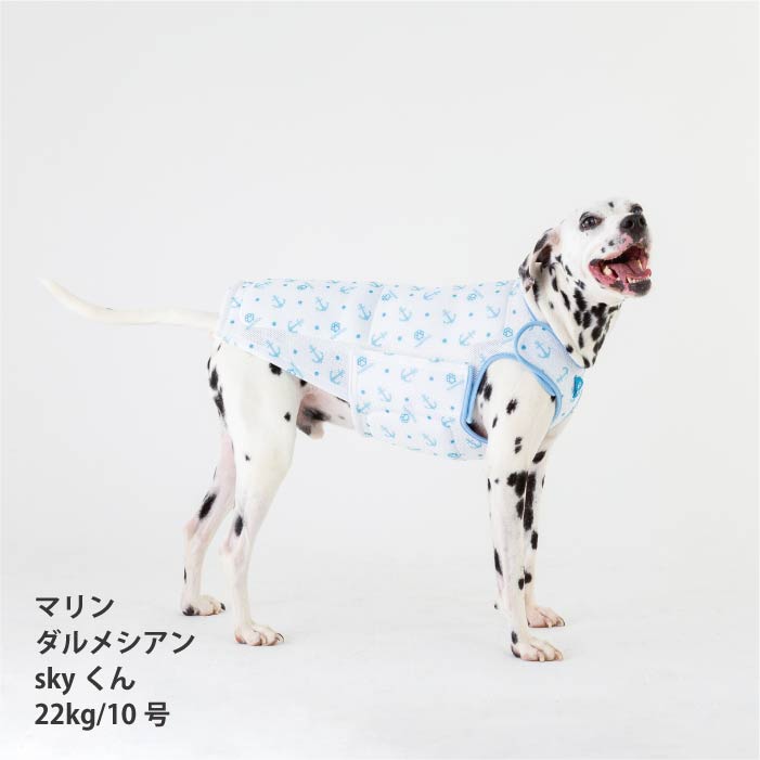 <font size="2">小型～超大型 ダックス 胴長 [全26size展開]</font><br>熱中症対策に！専用やわらか保冷剤付<br>ワンクールベスト - VERY-PET