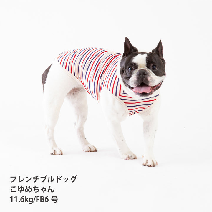 犬服 春夏福袋 小型犬6枚入