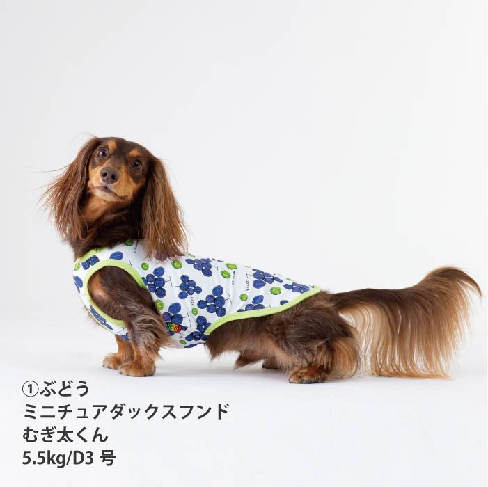 <font size="2">小型 中型 ダックス 胴長 [全14size展開]</font><br>【コルナムコラボ】クールタンクトップ - VERY-PET