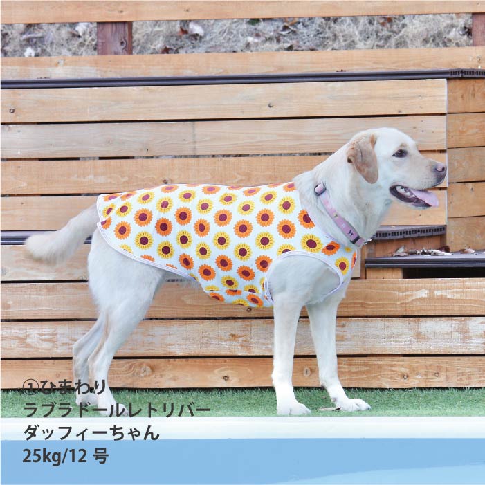 <font size="2">小型～超大型 ダックス 胴長 [全27size展開]</font><br>サマーデザインクールタンクトップ - VERY-PET