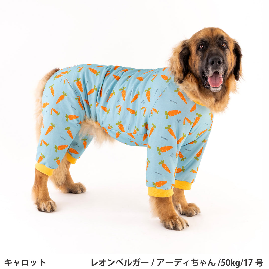 小型～超大型 プリント裏毛ロンパース