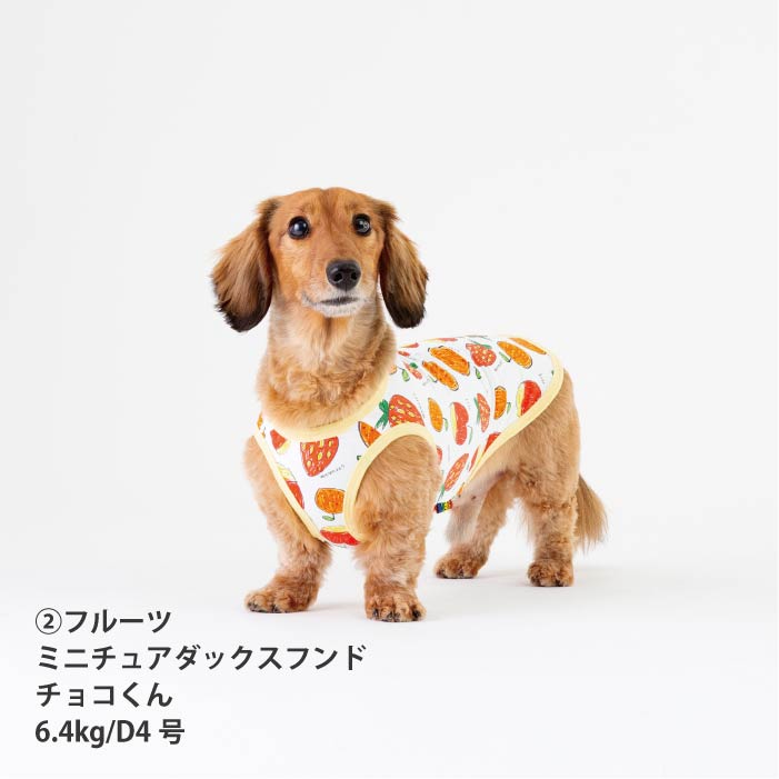 <font size="2">小型 中型 ダックス 胴長 [全14size展開]</font><br>【コルナムコラボ】クールタンクトップ - VERY-PET