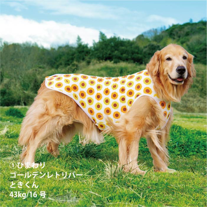 <font size="2">小型～超大型 ダックス 胴長 [全27size展開]</font><br>サマーデザインクールタンクトップ - VERY-PET