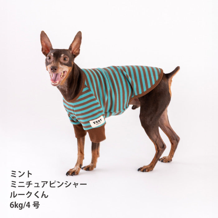 【スタイプレゼント対象商品】小型～中型 ダックス 胴長 [全18size展開]<br>ストレッチボーダーロンT - VERY-PET