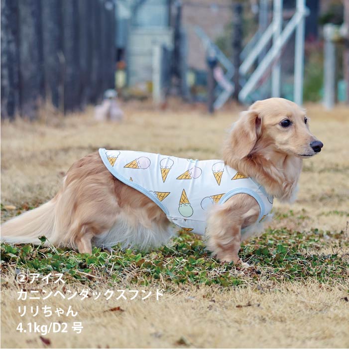 <font size="2">小型～超大型 ダックス 胴長 [全27size展開]</font><br>サマーデザインクールタンクトップ - VERY-PET
