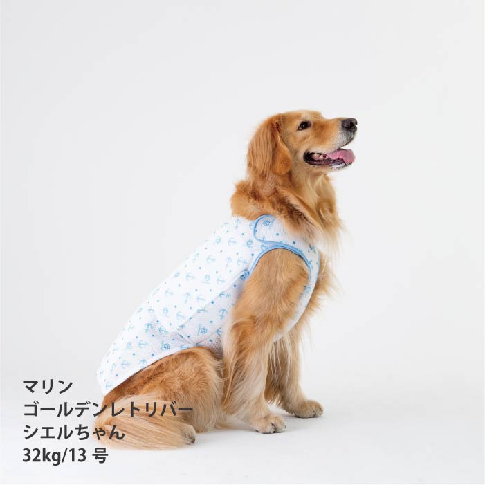 <font size="2">小型～超大型 ダックス 胴長 [全26size展開]</font><br>熱中症対策に！専用やわらか保冷剤付<br>ワンクールベスト - VERY-PET