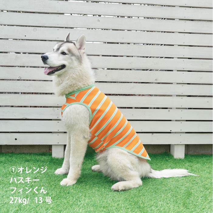 <font size="2">小型～超大型 ダックス 胴長 [全26size展開]</font><br>コットンボーダータンクトップ - VERY-PET