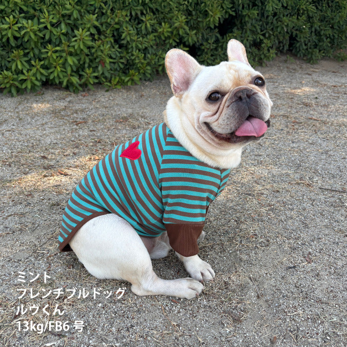 【スタイプレゼント対象商品】フレブル・パグ [全18size展開]<br>ストレッチボーダーロンT - VERY-PET