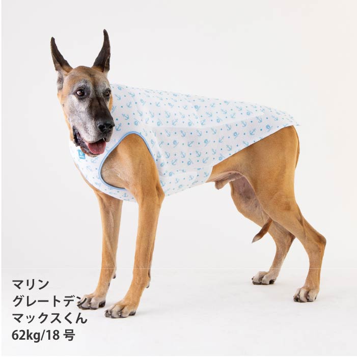 <font size="2">小型～超大型 ダックス 胴長 [全26size展開]</font><br>熱中症対策に！専用やわらか保冷剤付<br>ワンクールベスト - VERY-PET