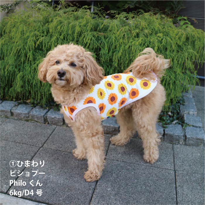 <font size="2">小型～超大型 ダックス 胴長 [全27size展開]</font><br>サマーデザインクールタンクトップ - VERY-PET