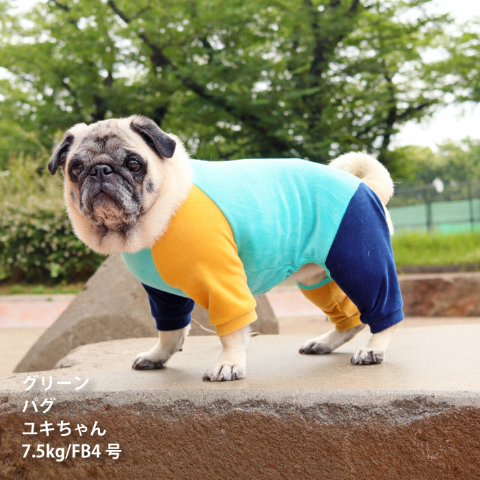 【スタイプレゼント対象商品】フレブル・パグ [全32size展開]<br>カラーブロックロンパース - VERY-PET