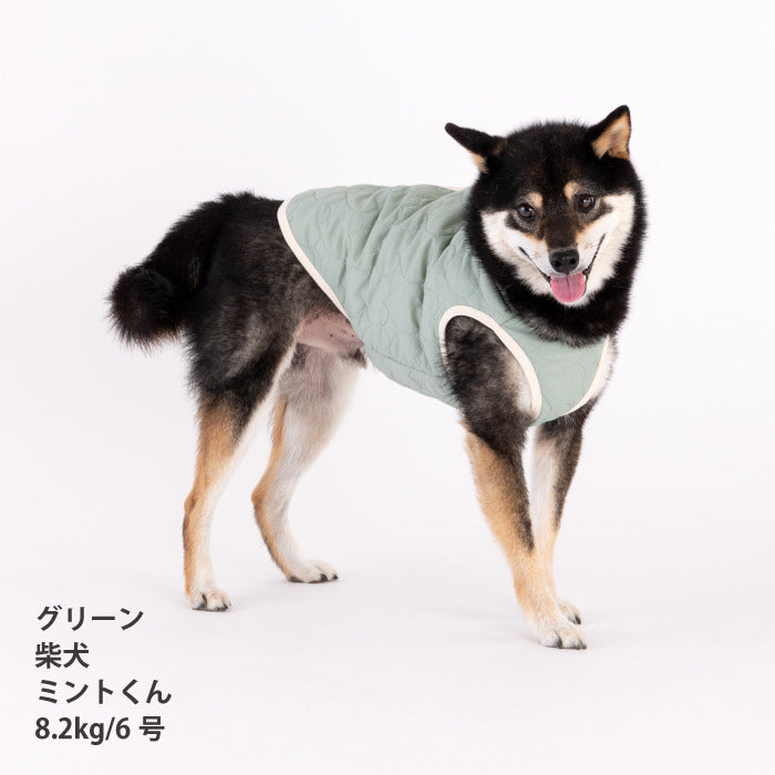 【スタイプレゼント対象商品】小型～大型 ダックス 胴長 [全20size展開]<br>背開きタンク - VERY-PET