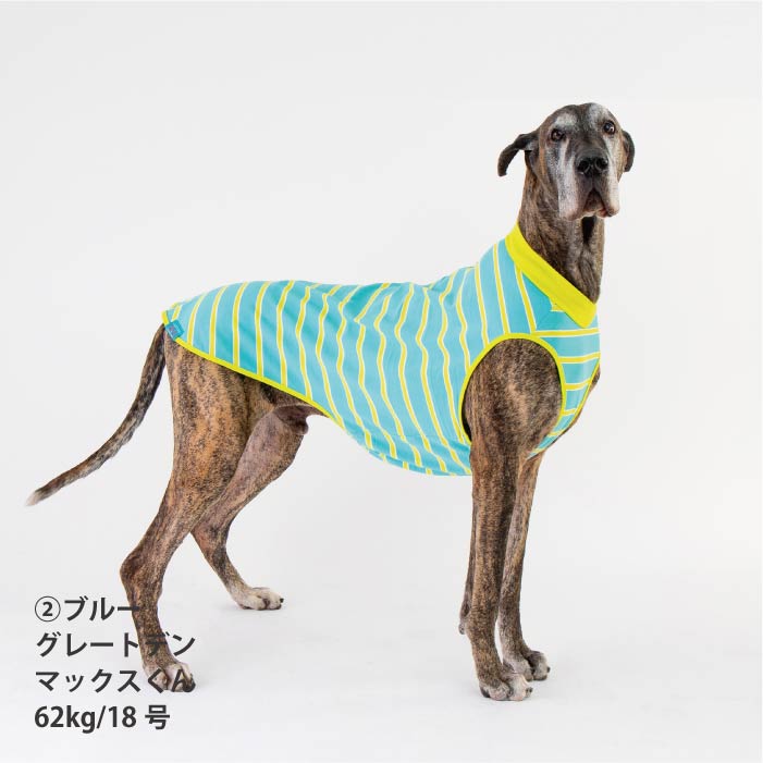 <font size="2">小型～超大型 ダックス 胴長 [全26size展開]</font><br>コットンボーダータンクトップ - VERY-PET