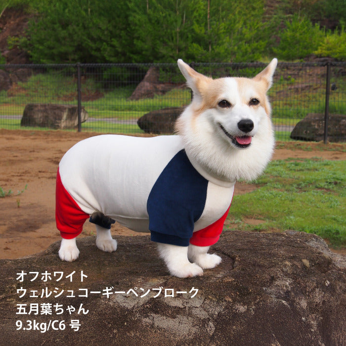 【スタイプレゼント対象商品】コーギー・バセット [全32size展開]<br>カラーブロックロンパース - VERY-PET