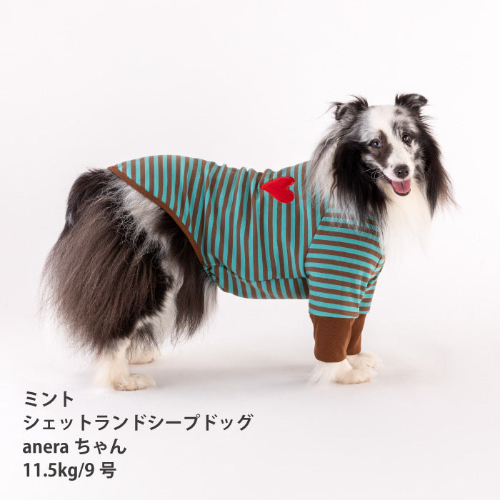 【スタイプレゼント対象商品】小型～中型 ダックス 胴長 [全18size展開]<br>ストレッチボーダーロンT - VERY-PET
