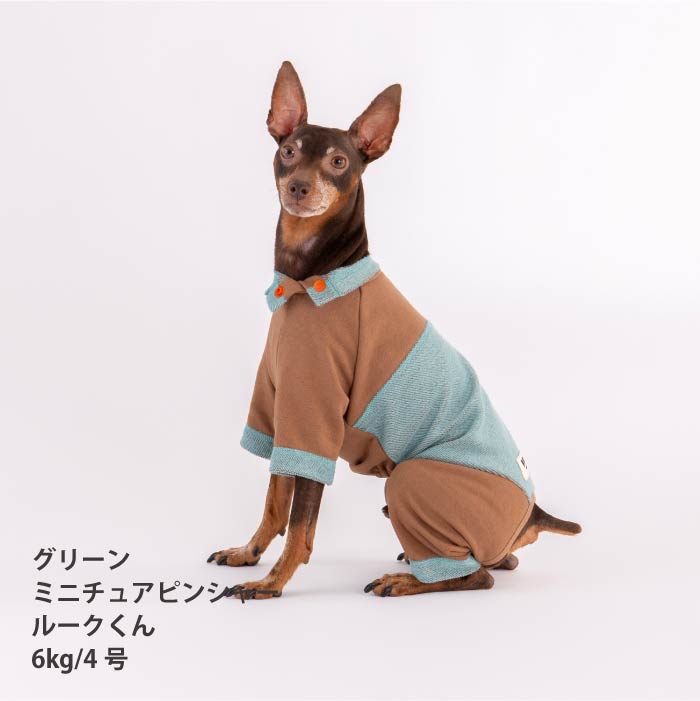 【スタイプレゼント対象商品】小型～超大型 ダックス 胴長 [全32size展開]<br>カラースキームロンパース - VERY-PET
