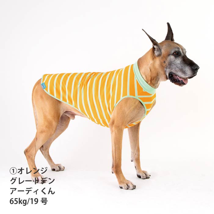 <font size="2">小型～超大型 ダックス 胴長 [全26size展開]</font><br>コットンボーダータンクトップ - VERY-PET