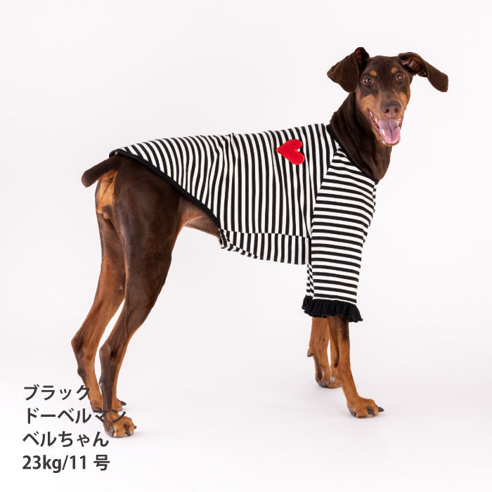 【スタイプレゼント対象商品】小型～中型 ダックス 胴長 [全18size展開]<br>ストレッチボーダーロンT - VERY-PET