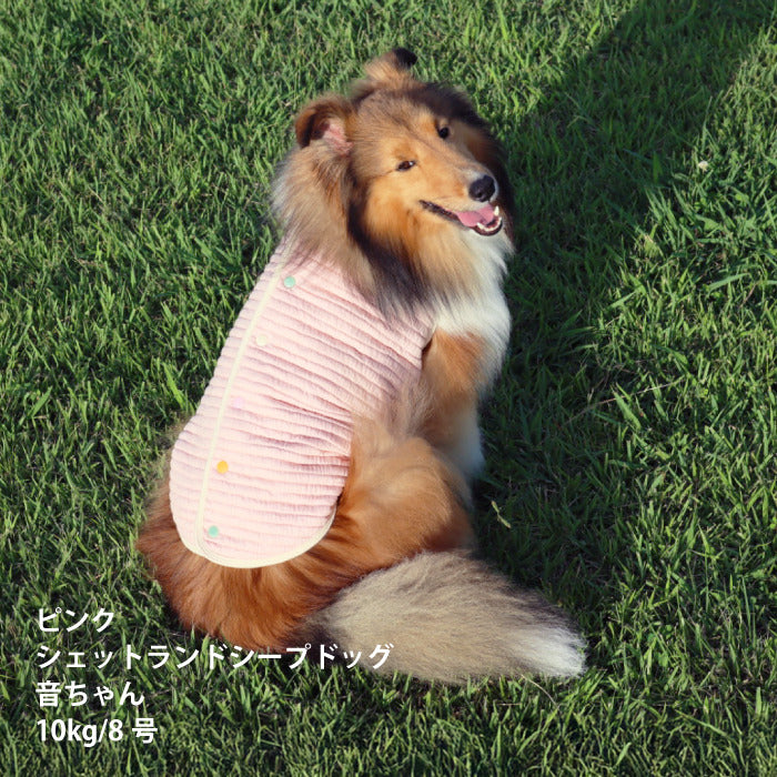 【スタイプレゼント対象商品】小型～大型 ダックス 胴長 [全20size展開]<br>背開きタンク - VERY-PET
