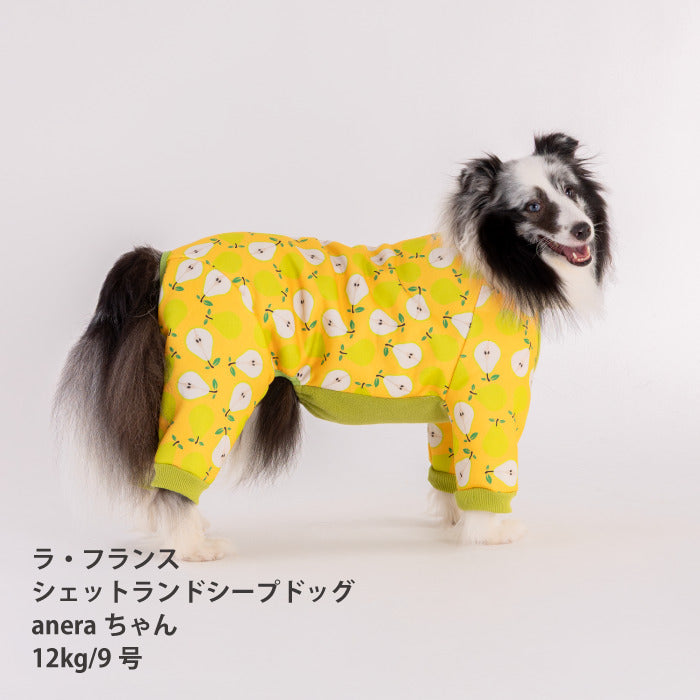 【スタイプレゼント対象商品】小型～超大型 ダックス 胴長 [全32size展開]<br>裏起毛プリントロンパース フルーツ/ラ･フランス