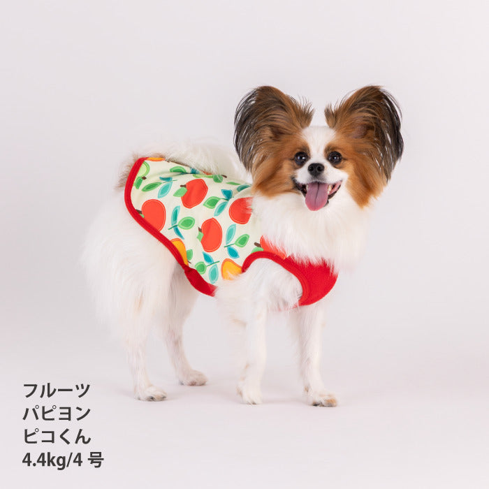 【スタイプレゼント対象商品】小型～大型 ダックス 胴長 [全29size展開]<br>裏起毛プリントタンク フルーツ/ラ・フランス