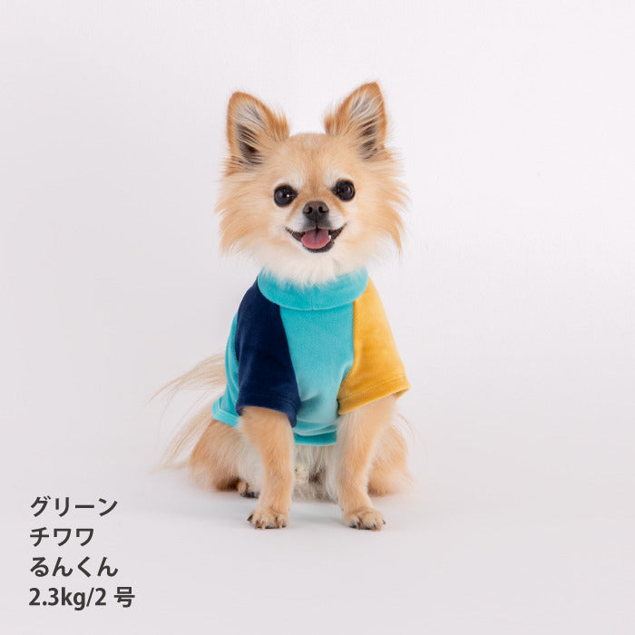 【スタイプレゼント対象商品】小型～超大型 ダックス 胴長 [全29size展開]<br>カラーブロックTシャツ　※グリーンの8号・9号・10号・11号は定価の20%OFF - VERY-PET