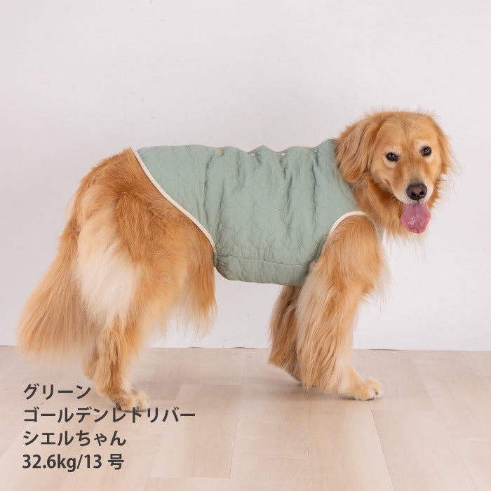 【スタイプレゼント対象商品】小型～大型 ダックス 胴長 [全20size展開]<br>背開きタンク - VERY-PET