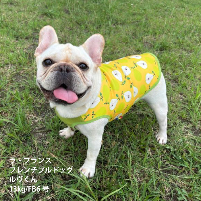 【スタイプレゼント対象商品】フレブル・パグ [全29size展開]<br>裏起毛プリントタンク フルーツ/ラ・フランス - VERY-PET