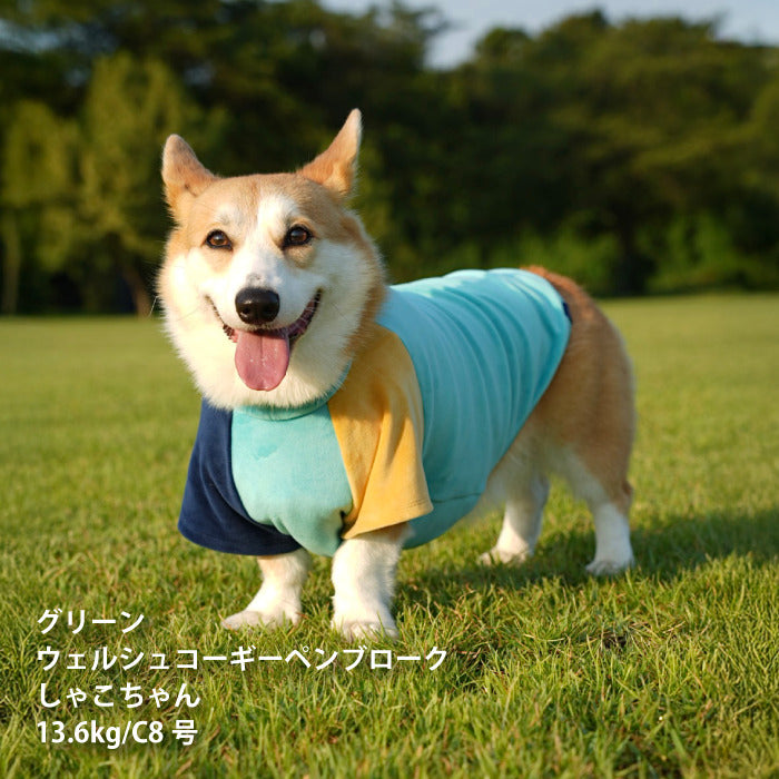 【スタイプレゼント対象商品】コーギー・バセット [全29size展開]<br>カラーブロックTシャツ - VERY-PET
