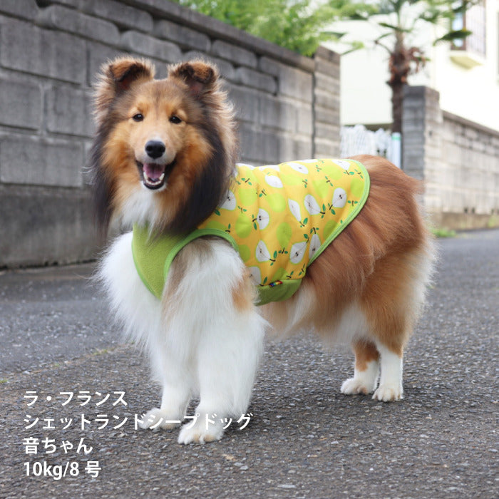 【スタイプレゼント対象商品】小型～大型 ダックス 胴長 [全29size展開]<br>裏起毛プリントタンク フルーツ/ラ・フランス
