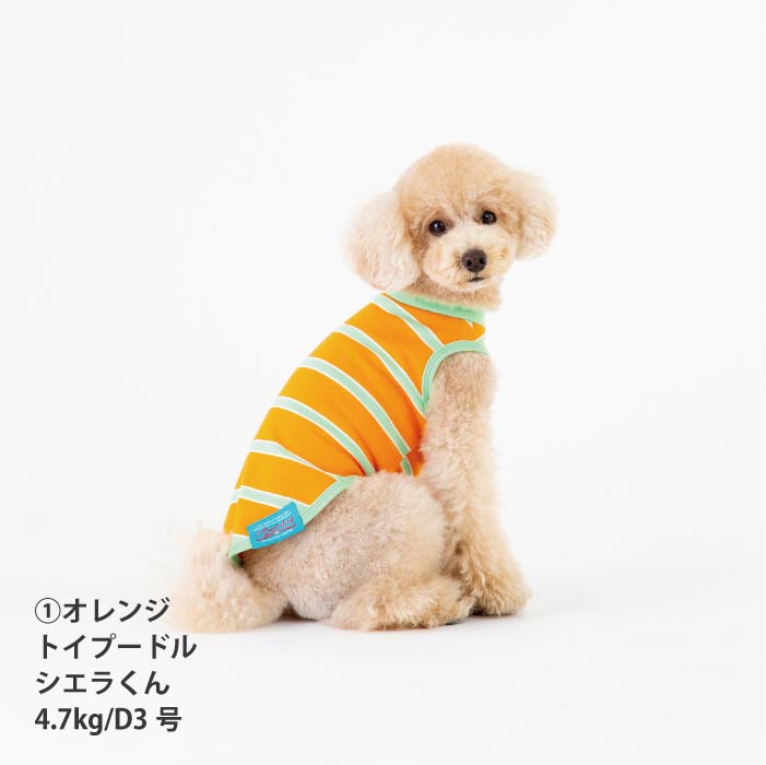 <font size="2">小型～超大型 ダックス 胴長 [全26size展開]</font><br>コットンボーダータンクトップ - VERY-PET
