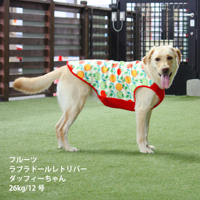 【スタイプレゼント対象商品】小型～大型 ダックス 胴長 [全29size展開]<br>裏起毛プリントタンク フルーツ/ラ・フランス　※8号・9号・10号・11号は定価の20%OFF - VERY-PET