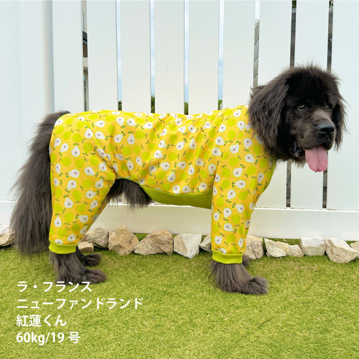 【スタイプレゼント対象商品】小型～超大型 ダックス 胴長 [全32size展開]<br>裏起毛プリントロンパース フルーツ/ラ･フランス