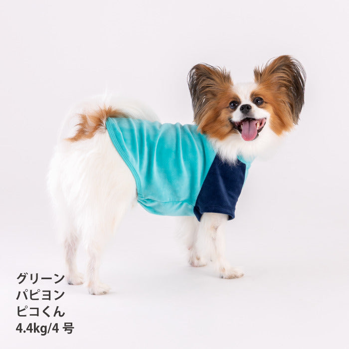 【スタイプレゼント対象商品】小型～超大型 ダックス 胴長 [全29size展開]<br>カラーブロックTシャツ　※グリーンの8号・9号・10号・11号は定価の20%OFF - VERY-PET