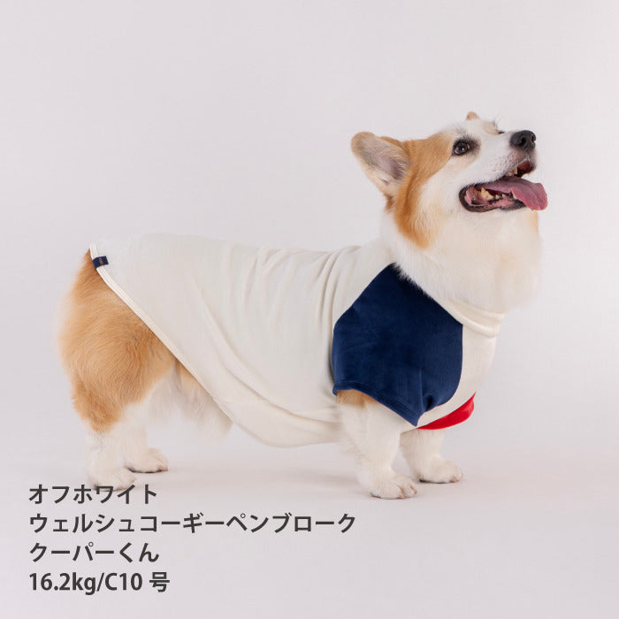 【スタイプレゼント対象商品】コーギー・バセット [全29size展開]<br>カラーブロックTシャツ - VERY-PET