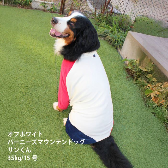 【スタイプレゼント対象商品】小型～超大型 ダックス 胴長 [全32size展開]<br>カラーブロックロンパース - VERY-PET