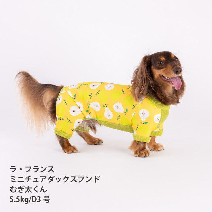 【スタイプレゼント対象商品】小型～超大型 ダックス 胴長 [全32size展開]<br>裏起毛プリントロンパース フルーツ/ラ･フランス
