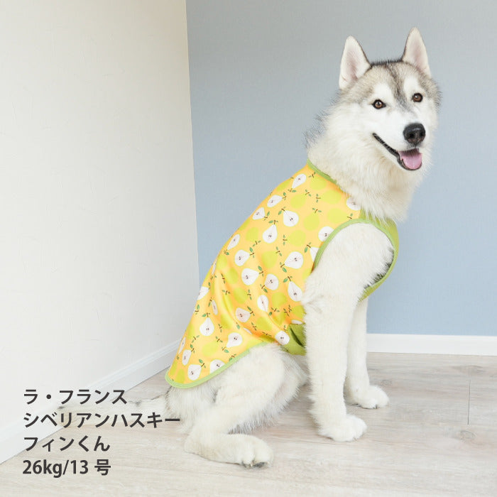 【スタイプレゼント対象商品】小型～大型 ダックス 胴長 [全29size展開]<br>裏起毛プリントタンク フルーツ/ラ・フランス