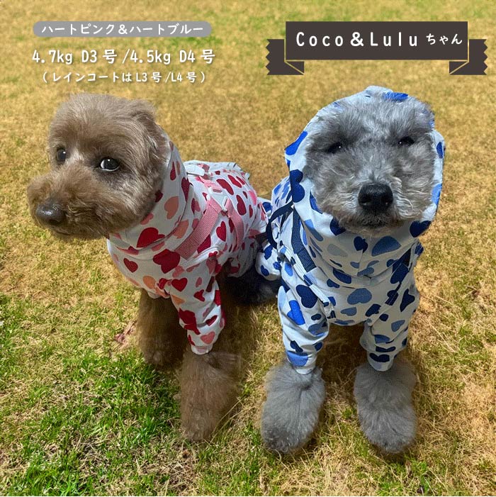 ハーネス付防水タンクトップ 小型犬・胴長・ダックス - VERY-PET