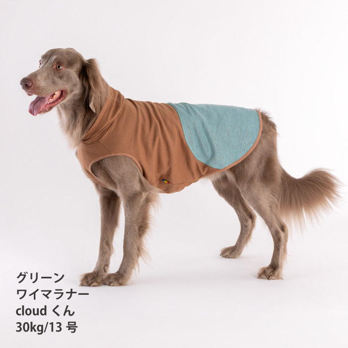 【スタイプレゼント対象商品】小型～超大型 ダックス 胴長 [全29size展開]<br>カラースキームタンク　※一部サイズは定価の20%OFF - VERY-PET