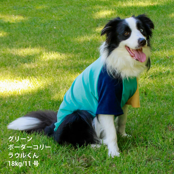 【スタイプレゼント対象商品】小型～超大型 ダックス 胴長 [全29size展開]<br>カラーブロックTシャツ　※グリーンの8号・9号・10号・11号は定価の20%OFF - VERY-PET