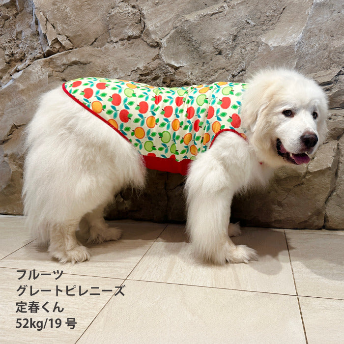 【スタイプレゼント対象商品】小型～大型 ダックス 胴長 [全29size展開]<br>裏起毛プリントタンク フルーツ/ラ・フランス
