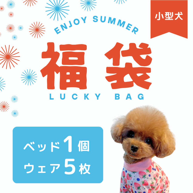 Web限定 ベッド入り福袋 送料無料<br>小型犬5枚入　 ※返品交換不可・在庫限り
