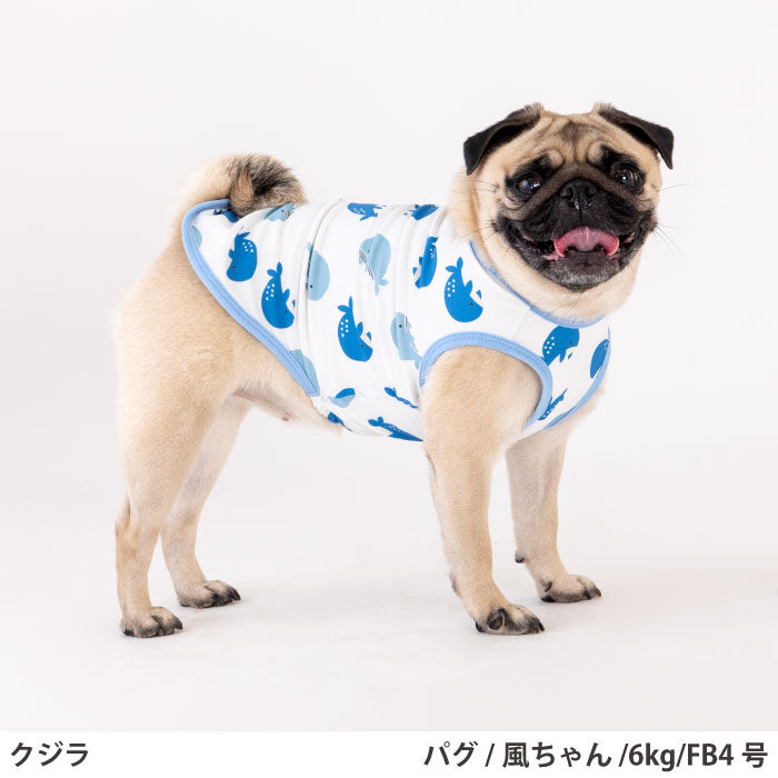 フレブル・パグ [全29size展開]<br>プリントクールタンク クジラ - VERY-PET