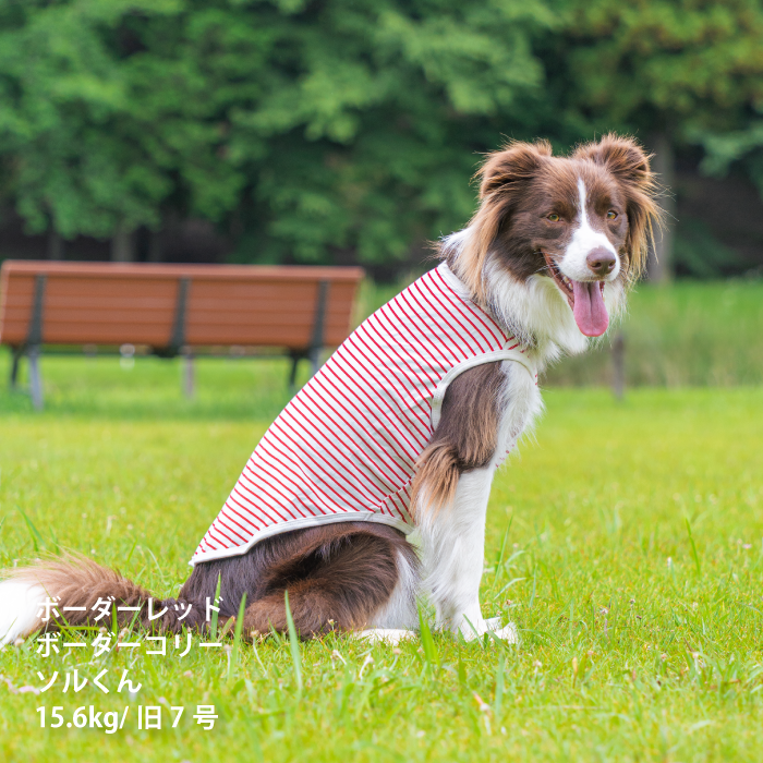 コットンタンクトップ　無地・ボーダー【綿100%】中型犬 - VERY-PET