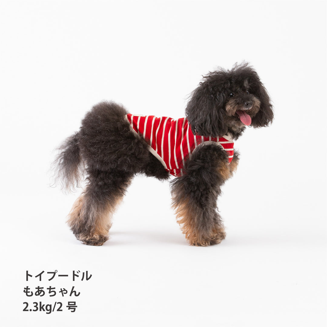 犬服 春夏福袋 小型犬6枚入