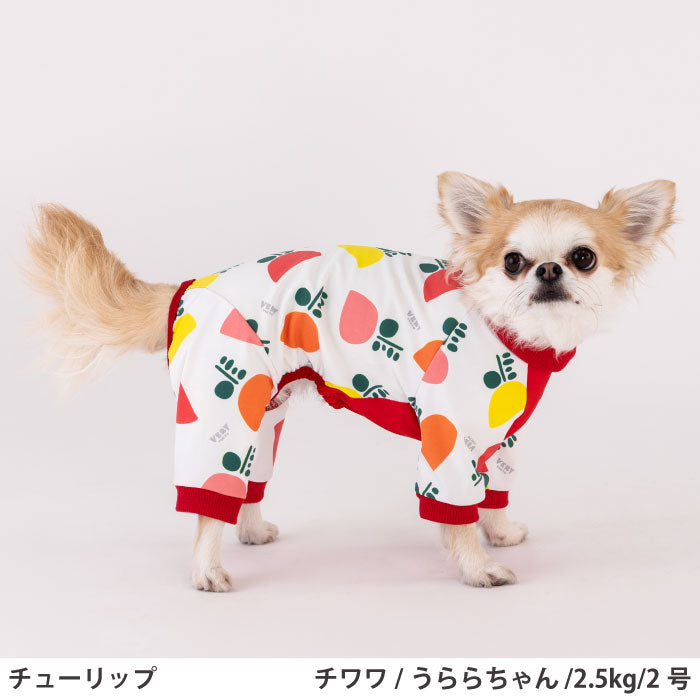 小型～超大型 ダックス 胴長 [全31size展開]<br>プリントクールロンパース チューリップ - VERY-PET