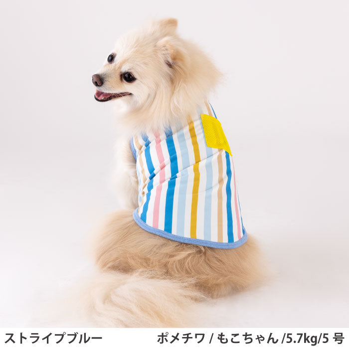 小型～超大型 ダックス 胴長 [全23size展開]<br>プリントクールタンク ストライプブルー - VERY-PET