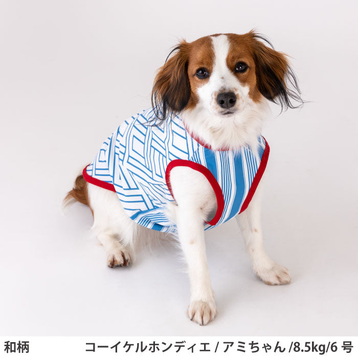 小型～超大型 ダックス 胴長 [全14size展開]<br>プリントクールタンク 和柄 - VERY-PET