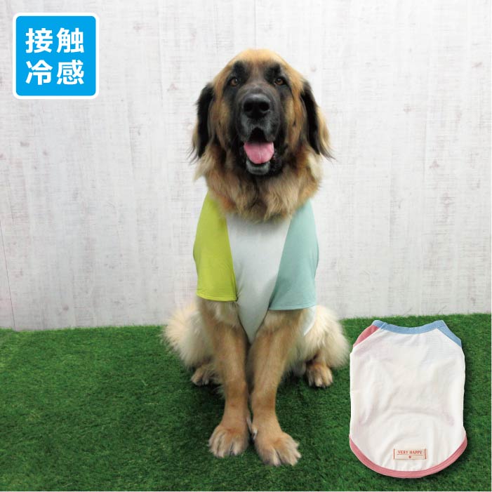 <font size="3">超大型犬</font> <br>接触冷感&濡らして冷たい<br>カラーブロッククールTシャツ